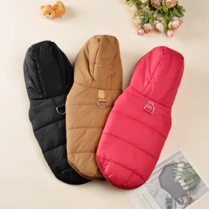 Product Gallery